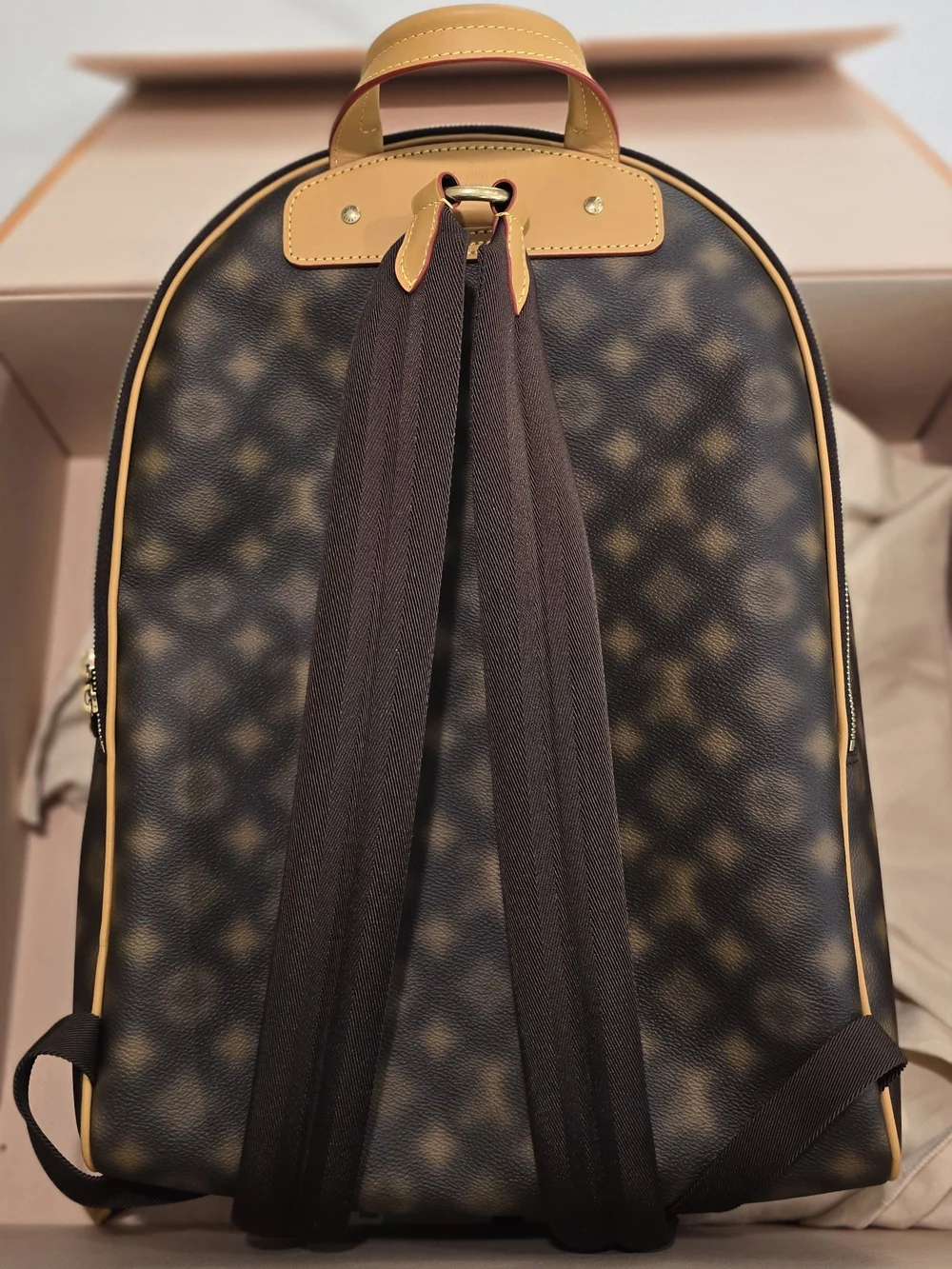 Louis Vuitton Brown & Tan Monogram Backpack